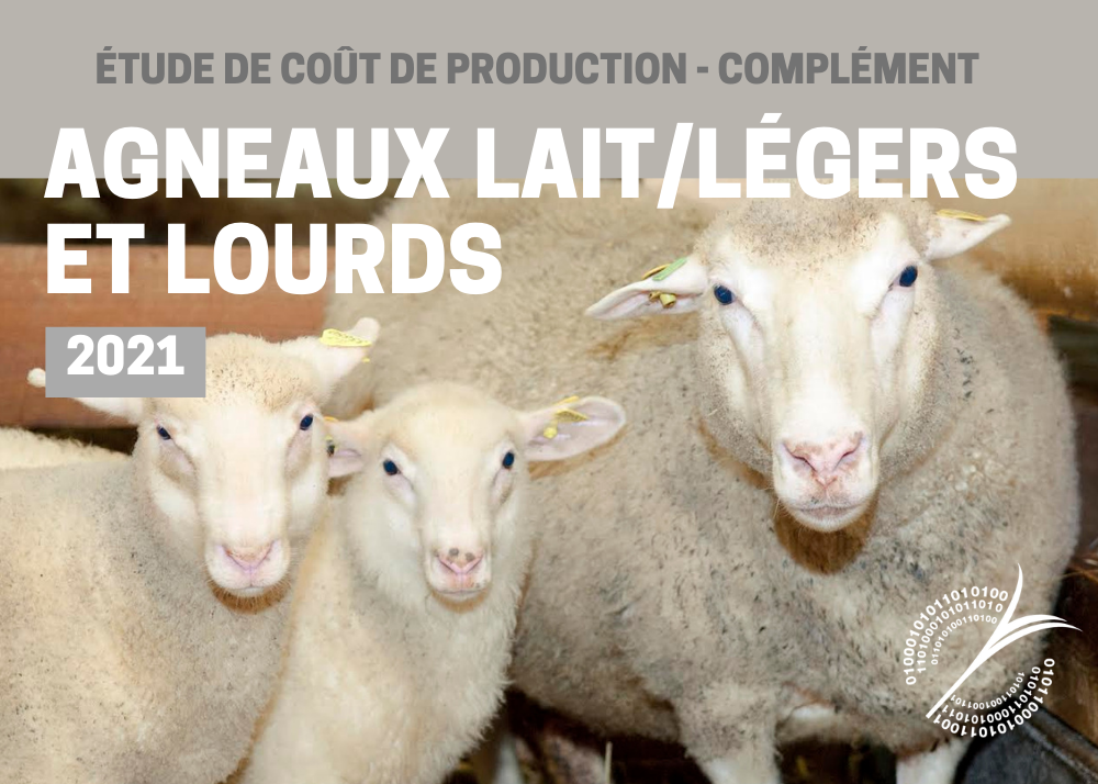 Études de coûts de production : ÉTUDE COÛT DE PRODUCTION COMPLÉMENT - AGNEAUX 2021 - LAIT/LÉGER ET LOURD 
